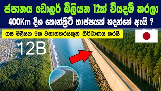 ජපානය හදපු කිලෝමීටර් 400ක පවුරේ රහස! - ගස් මිලියන 9ක වනාන්තරයක්.