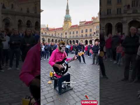Viral Monyet Main Gitar di Alun Alun Russia #empudstudiogrup #empudstudio #shorts