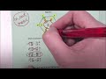 Understanding Similar Figures Strategies
