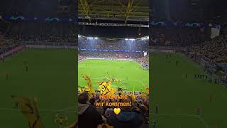 #bvb #borussia #borussiadortmund #dortmund #championsleague #bvbatletico #halbfinale #yellowwall