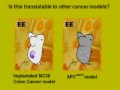 Environmental Factors and Cancer Growth