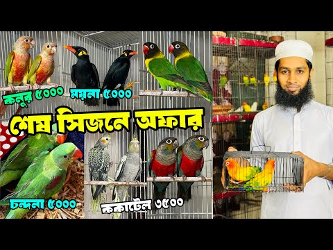 ২৪ ঘন্টার স্পেশাল অফা'র | চন্দনা ৫০০০ |?ময়না ৫০০০ | কনুর ৫০০০ | যে অফা 'র কেউ দিবেনা। 5 March, 2025