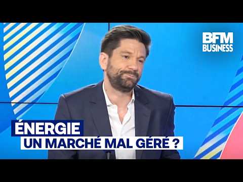 Énergies renouvelables : "Il faut arrêter de sortir le chèque en blanc à chaque fois" (R. Legendre)