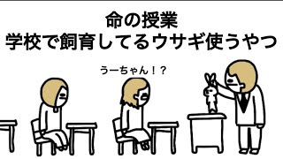 【アニメ】学校で元々飼ってたウサギ、命の授業で食うやつ【川島】
