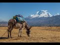 Exploring Peru: A Journey Through History and Nature