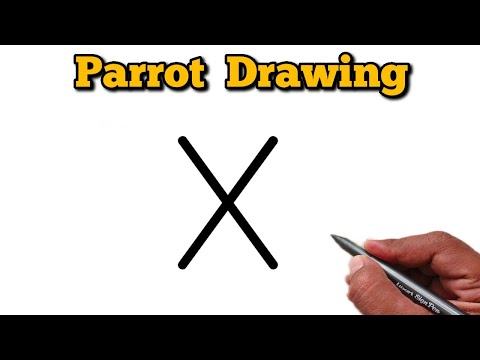 How to draw parrot drawing from letter X | Easy parrot drawing for beginners