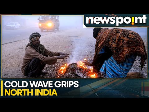 India: Cold Wave Grips Delhi-NCR As IMD Issues Yellow Alert | WION