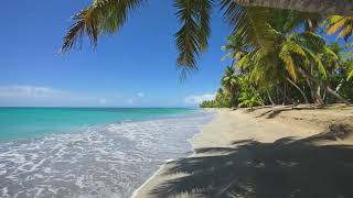 Bahamas Beach