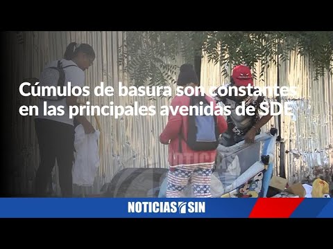 Temor a enfermedades por cúmulos de basura