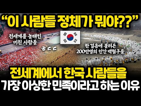 지금 재조명 되고 있는 세계에서 유일하게 한국만 해낸 것들 l 전세계에서 가장 단결이 잘되는 이상한 민족