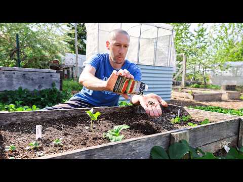 10 Crops You’d Be FOOLISH Not to Plant in May