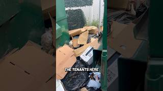 Dumpster cleanups suck #fyp #cleaning #weird