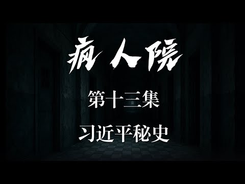 情景喜剧《疯人院》第十三集 习近平秘史 poster