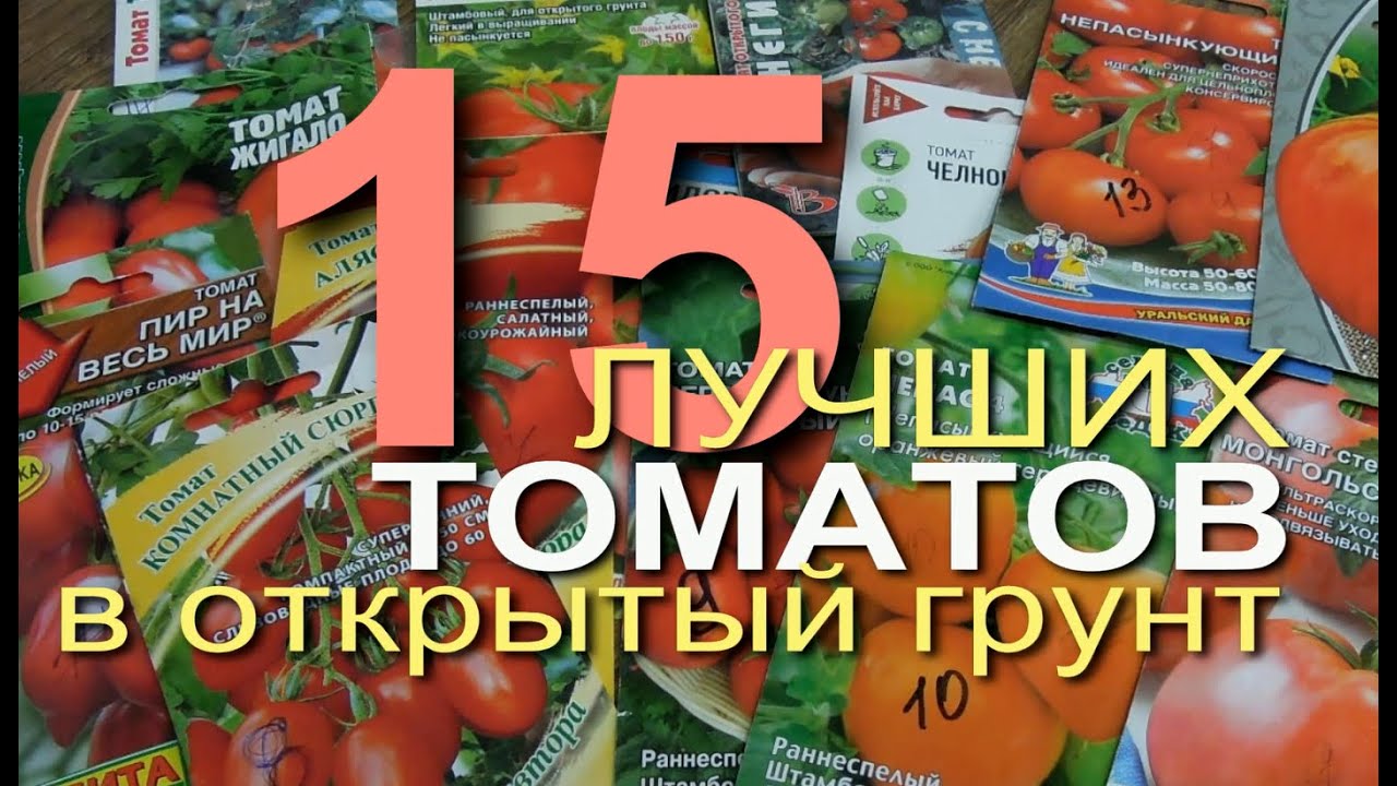 Лучшие томаты для открытого грунта. Советы от зеленого огорода. Зеленый Огород