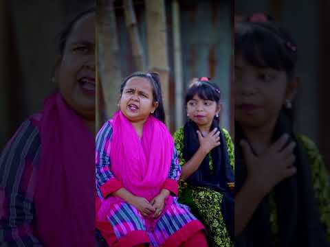 new funny video 2025 26
