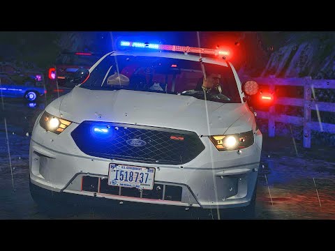 City Patrol|| GTA 5 Mod Lspdfr|| CHI #lspdfr #stevethegamer55