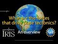 Exploring the Forces Behind Plate Tectonics