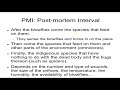 Forensic Entomology and Time of Death