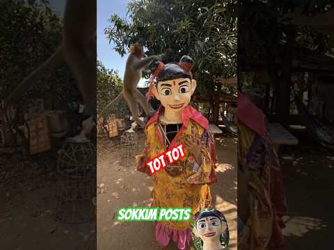 Run Tot tot តតៗ #ទីងមោង #tots #តតៗ #tingmong #automobile #sokkimposts #funny #shorts #foryou