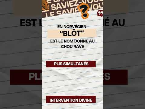 JE VEUX UN JEU ! épisode 3 : jeux de plis