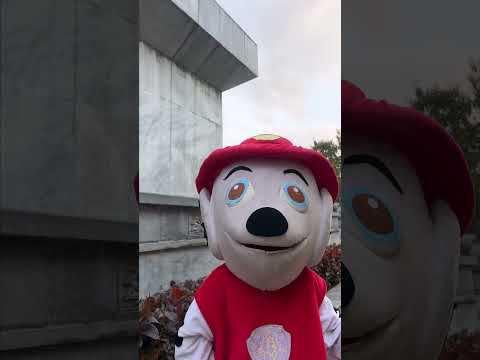 Skye saved Marshall & Rubble from the evil Chucky #shorts #funny #pawpatrol