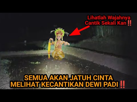 DI JAMIN KAMU AKAN JATUH CINTA MELIHAT DEWI SRI DEWI PADI YANG SANGAT CANTIK DAN MULUS