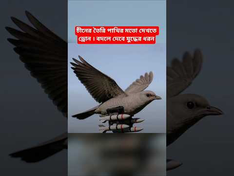 চীনের গোপন পাখি! চোখে ধরা পড়ে না এই ড্রোন