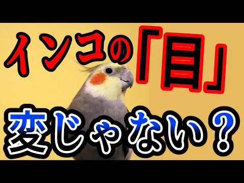 【本当にあった怖い話】【2チャンネル怖い話】【ホンコワ】【ゾクッと】