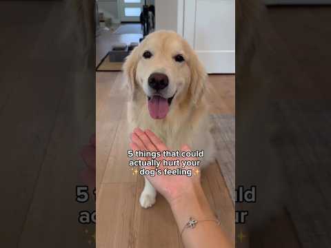 Protect our Babies at all coast 💗🥹 ....#ytshorts #trending #pets #love #care #dogmom #dogshorts