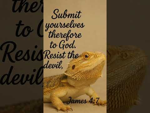 #worshipmusic #christianmusic #gospelmusic #music #beardeddragon  #christiansongs #dailybibleverses
