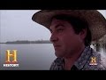 Observing Alligator Behavior and Reactions