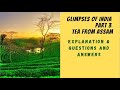 Exploring the World of Tea