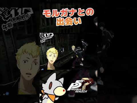 thumbnail_Nfkw-mGqCrw
