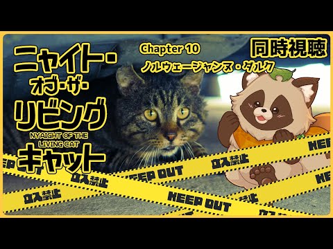 thumbnail_Nfn0cIRspqY
