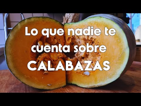 Cultivar CALABAZAS GIGANTES🤯 (y otras cosas que nadie comenta)