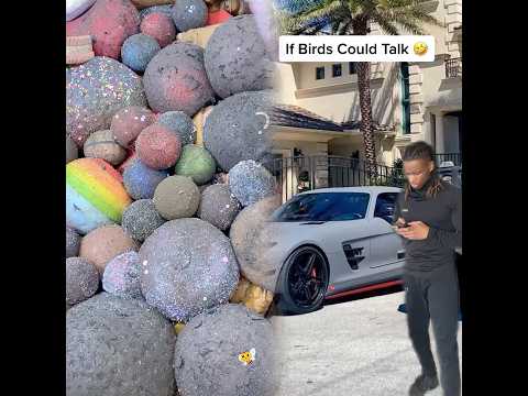 #leightonwhyte #funny #fyp #xyzbca #jokes