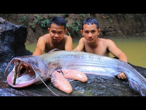 Cooking Big Giant Catfish Sour Soup Eating Delicious In Forest