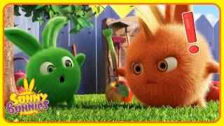 Hopper is in Trouble❗️| Sunny Bunnies | Funny Cartoons For Kids