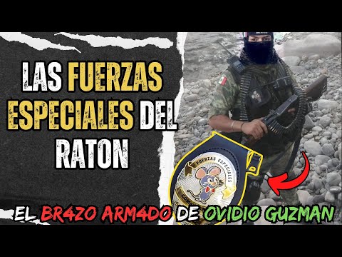 Las FUERZAS ESPECIALES DEL RATON - El Brazo 4rmado de OVIDIO GUZMAN