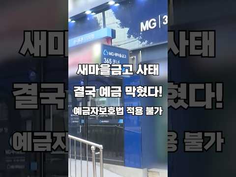 새마을금고 현재 상황과 새마을금고 예금자보호 결국 어떻게 되는지 확인하세요!