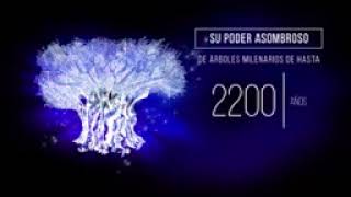 𝐁𝐞𝐥𝐀𝐠𝐞 𝐝𝐞 𝐒𝐚𝐧𝐤𝐢; 𝐫𝐞𝐜𝐮𝐩𝐞𝐫𝐚 𝐜é𝐥𝐮𝐥𝐚𝐬 𝐞𝐧𝐟𝐞𝐫𝐦𝐚𝐬