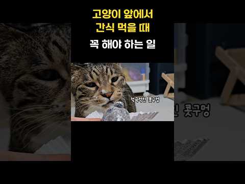 고양이 코 벌렁 못참지ㅋㅋ