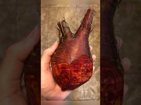 Rare Photos You've Never Seen Before [Part 209]