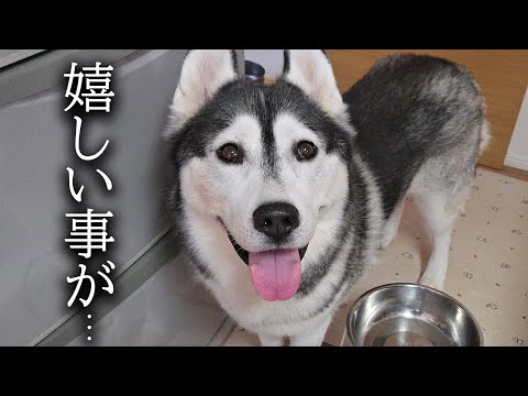 嬉しいお知らせがあります...