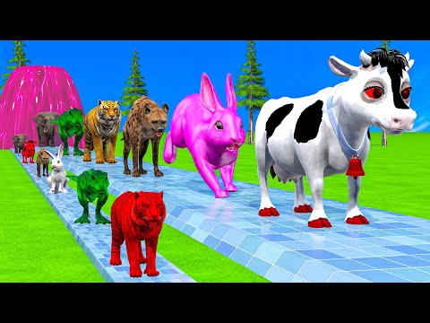 Paint & Animals Cow,Monkey,Pig,Rabbit,Lion,Elephant Fountain Crossing Transformation Animal Cartoon