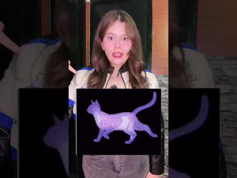 Verás como corre frente a ti #shorts