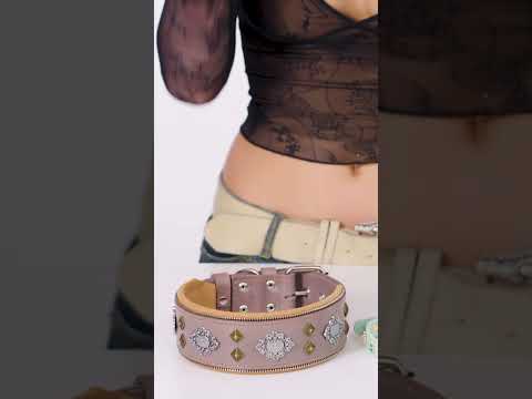 Loren Gray would WEAR this dog collar... would you?? 🐶