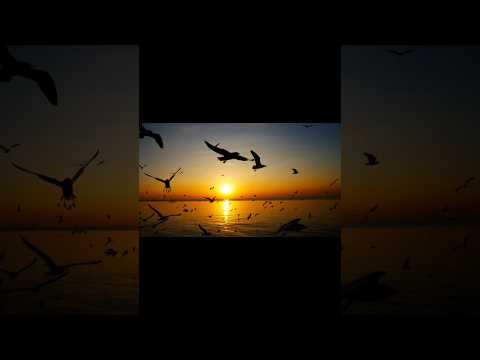 Prière pour réussir dans ses projets #bible #foi #Prière