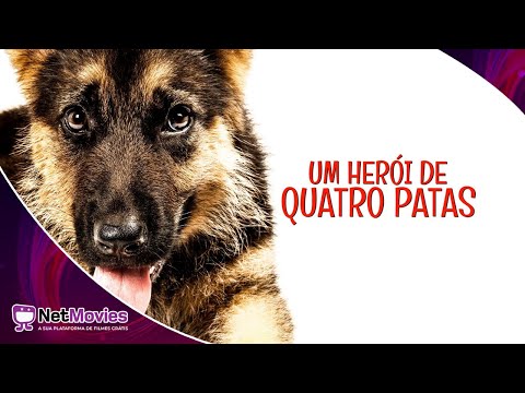 Um Herói de Quatro Patas (2015) - Filme Completo Dublado GRÁTIS - Filme de Aventura | NetMovies