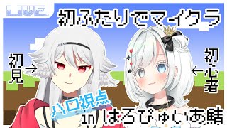 【マイクラ/Minecraft】はろぴゅいあ鯖☀初見と初心者で行く合流＆拠点を探し‼【はろぴゅいあ】